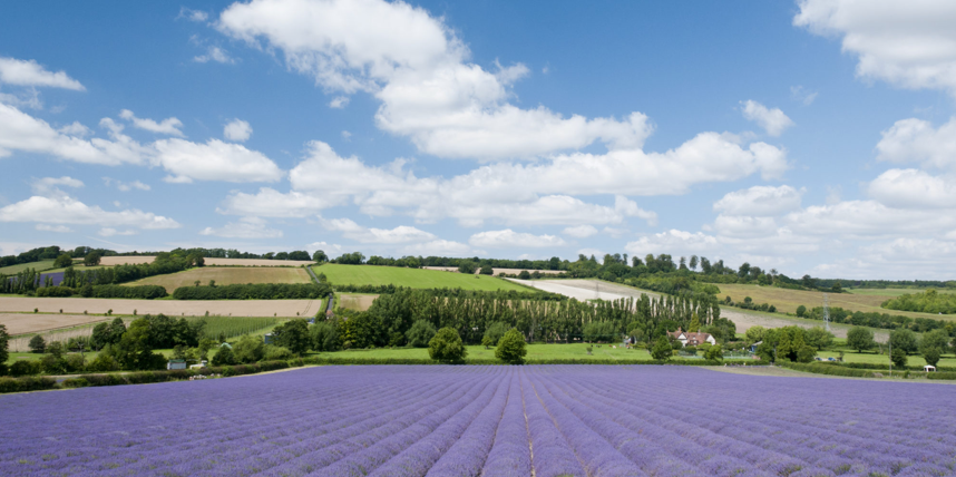 Kent County Council and Medway Council Launch New Grow in Kent Service