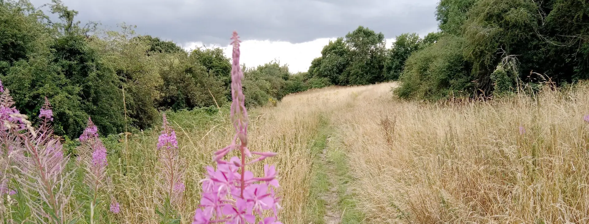 Long-term investment programme strengthens Medway’s growth prospects