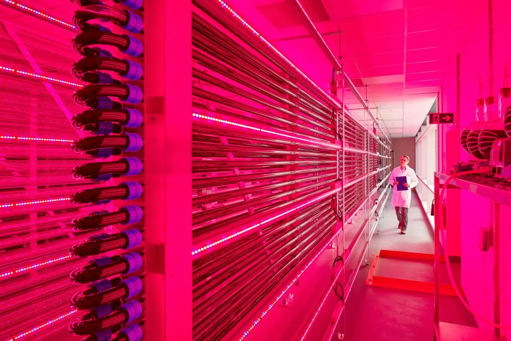 Life Sciences & Med Tech